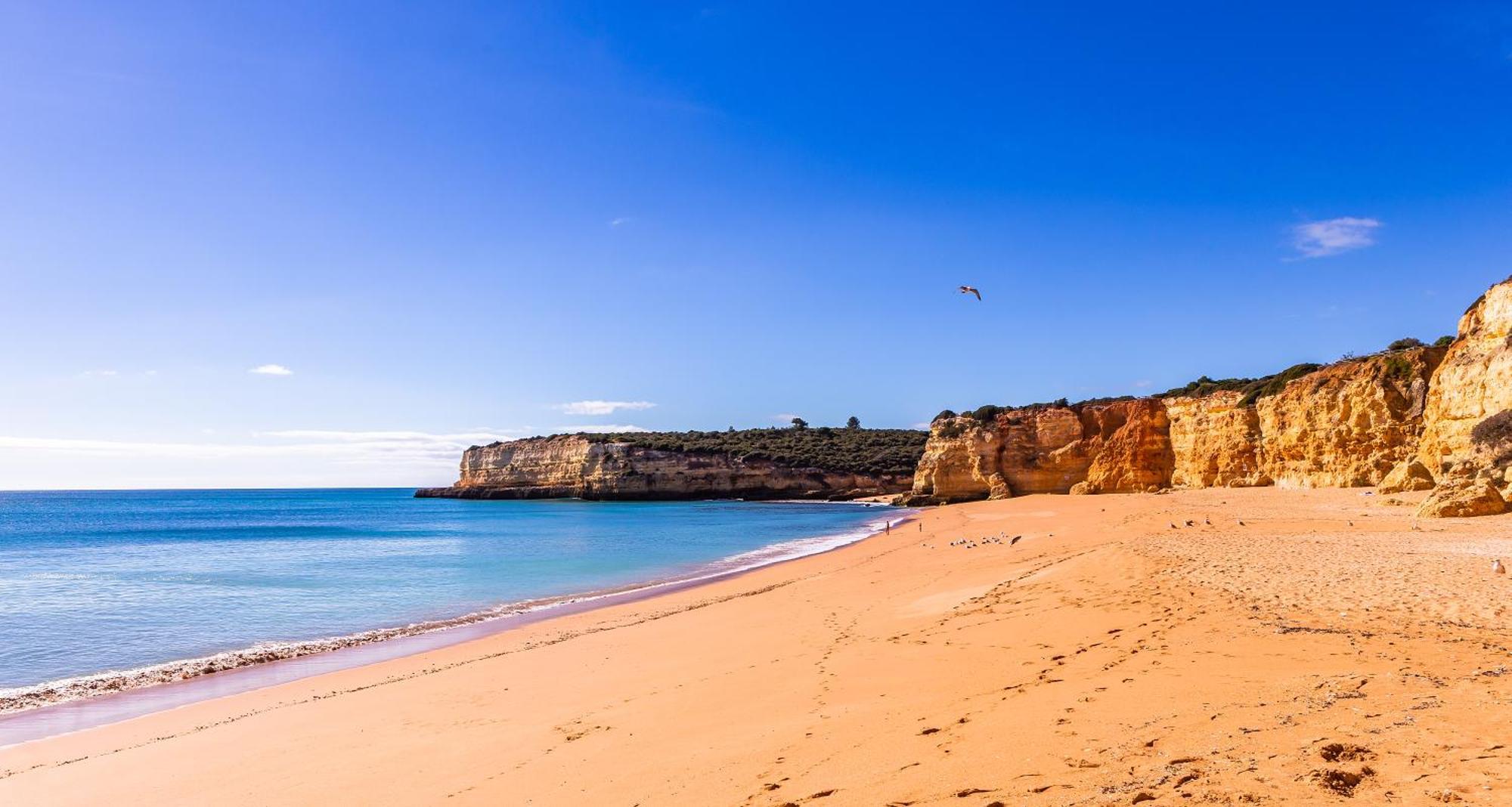 Casa Azul 1 - Senhora Da Rocha, Algarve Apartment Porches  Ngoại thất bức ảnh